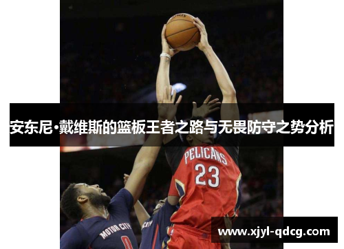 安东尼·戴维斯的篮板王者之路与无畏防守之势分析