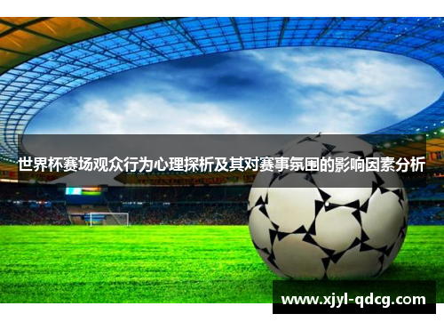 世界杯赛场观众行为心理探析及其对赛事氛围的影响因素分析