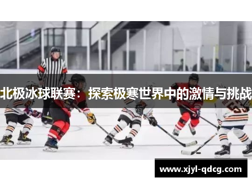 北极冰球联赛：探索极寒世界中的激情与挑战