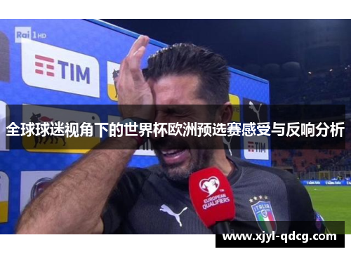 全球球迷视角下的世界杯欧洲预选赛感受与反响分析