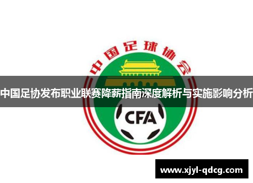 中国足协发布职业联赛降薪指南深度解析与实施影响分析