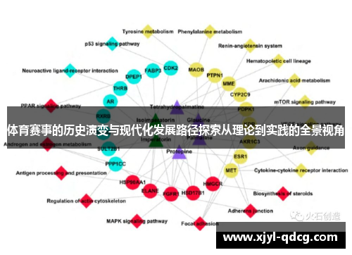 体育赛事的历史演变与现代化发展路径探索从理论到实践的全景视角